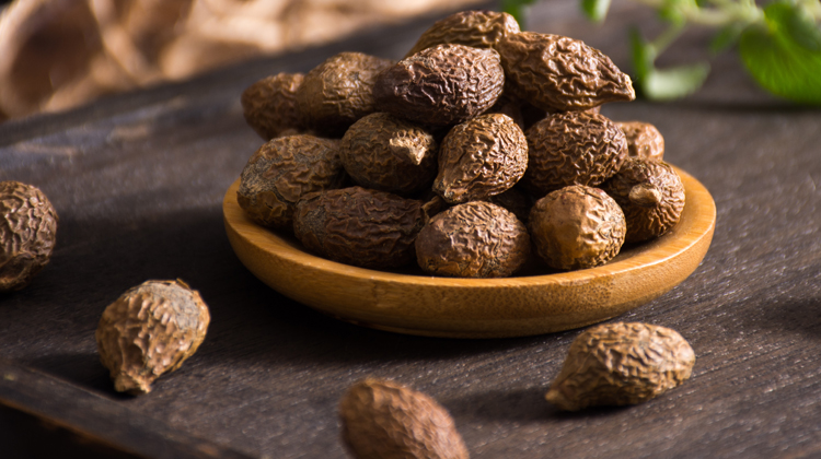 胖大海如何保存 胖大海怎样保存 胖大海怎么保存 乐哈健康网