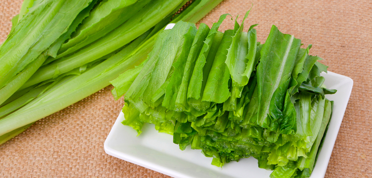 油麦菜 蔬果和菌藻 别名: 莜麦菜,苦菜,牛俐生菜