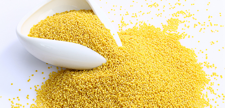 糜子米(炒米)的热量和营养价值