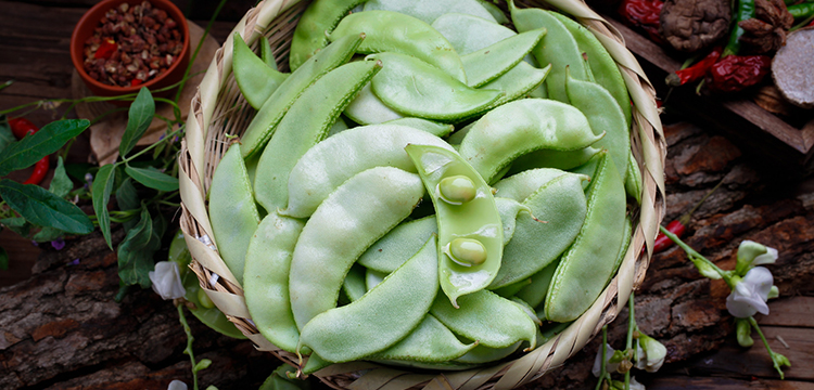 蔬果和菌藻 别名: 挟剑豆,野刀板藤,葛豆,刀豆角,刀板豆 热量(大卡)